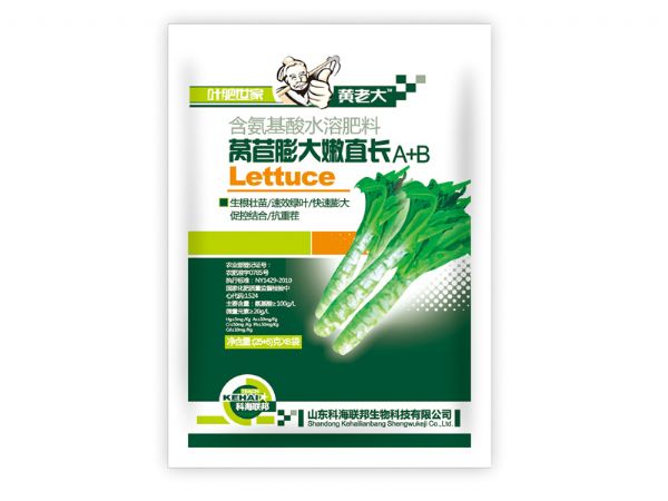 萵苣膨大嫩直長(zhǎng)A+B.jpg