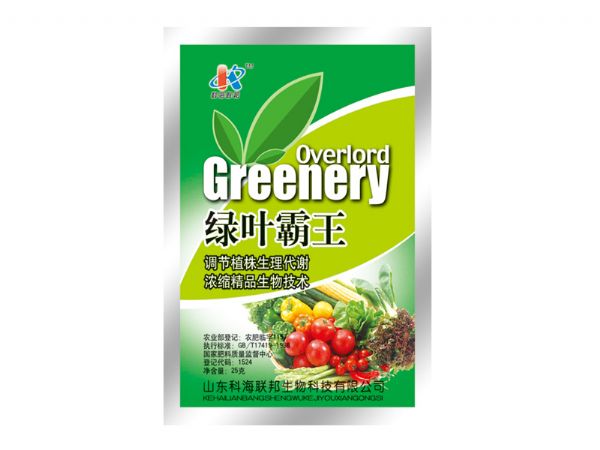 綠葉霸王.jpg