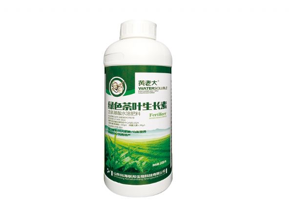 綠色茶葉生長素