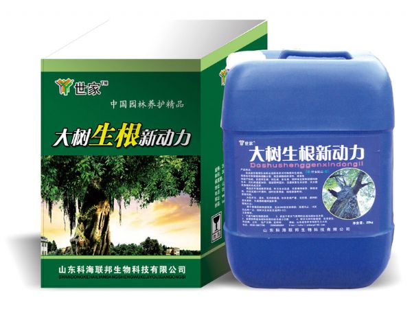 大樹生根新動力